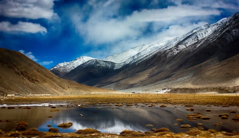 Sham Valley — Alchi, Sangam & Shanti Stupa