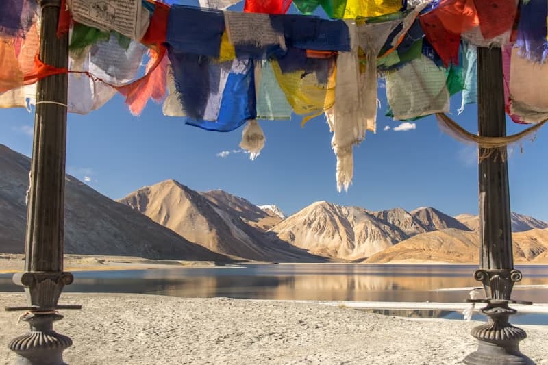 Nubra Valley — Camel Safari & Sand Dunes